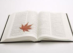 摩纳哥关键战役失利，赛季前景黯淡