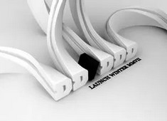 沈阳赛区球迷齐聚一堂，为球队呐喊助威