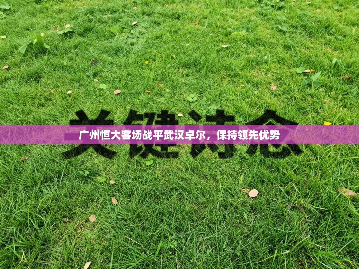 广州恒大客场战平武汉卓尔，保持领先优势  第2张