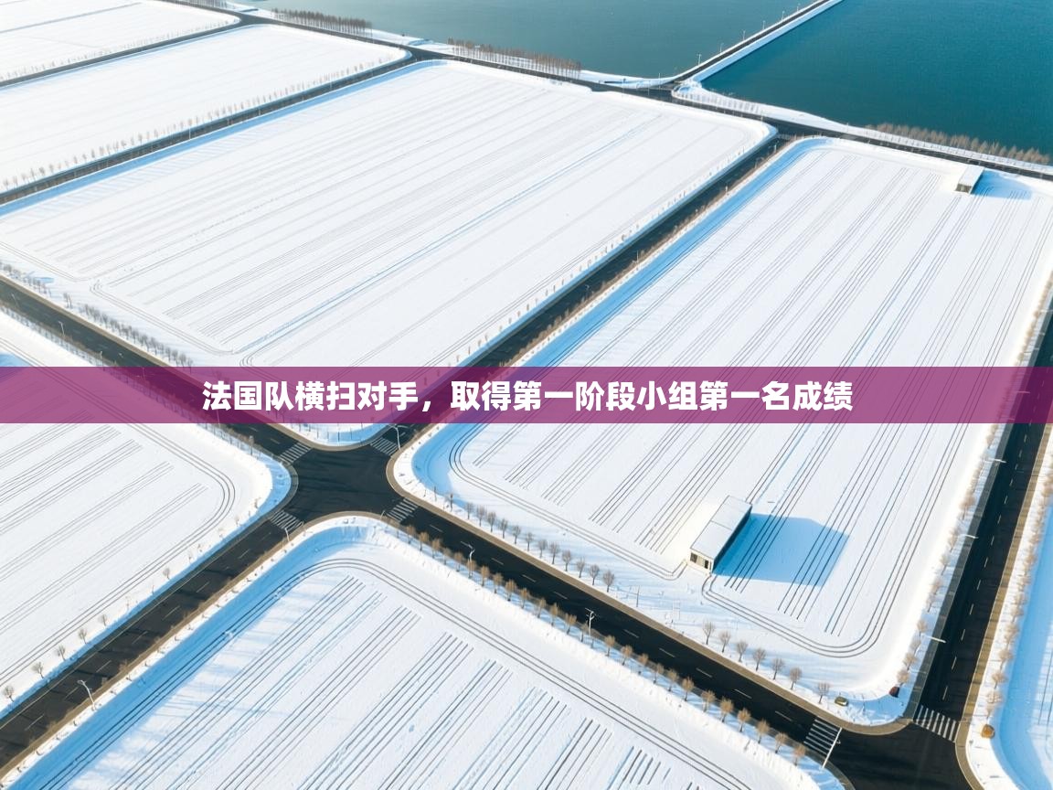 法国队横扫对手，取得第一阶段小组第一名成绩
