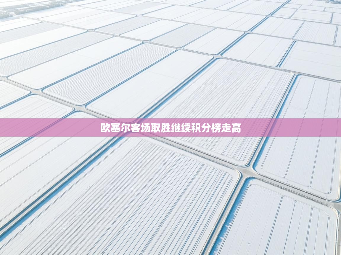 欧塞尔客场取胜继续积分榜走高  第2张